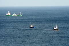 Killikus&reg; Fotographie